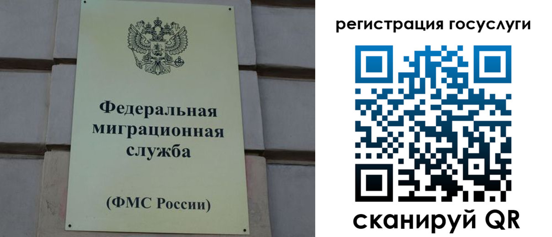 временная регистрация поиск в Осе
